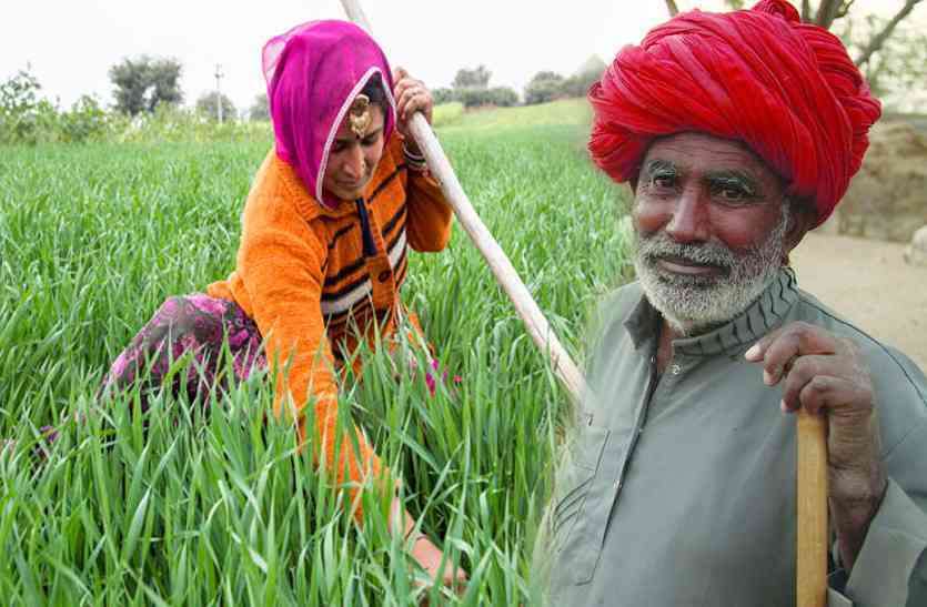 Rajasthan farmers