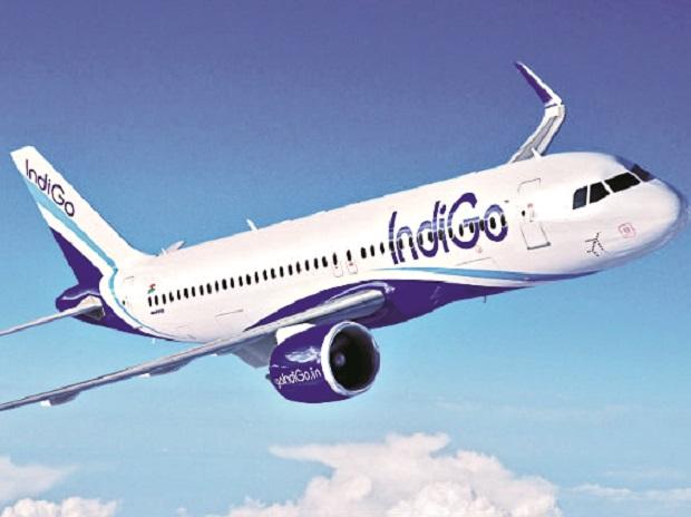 indigo_airlines.jpg