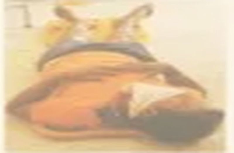 #CORONAVIRUS: अस्पताल में भी कोरोना संदिग्ध से दूरी फर्श पर लेटाए रखा