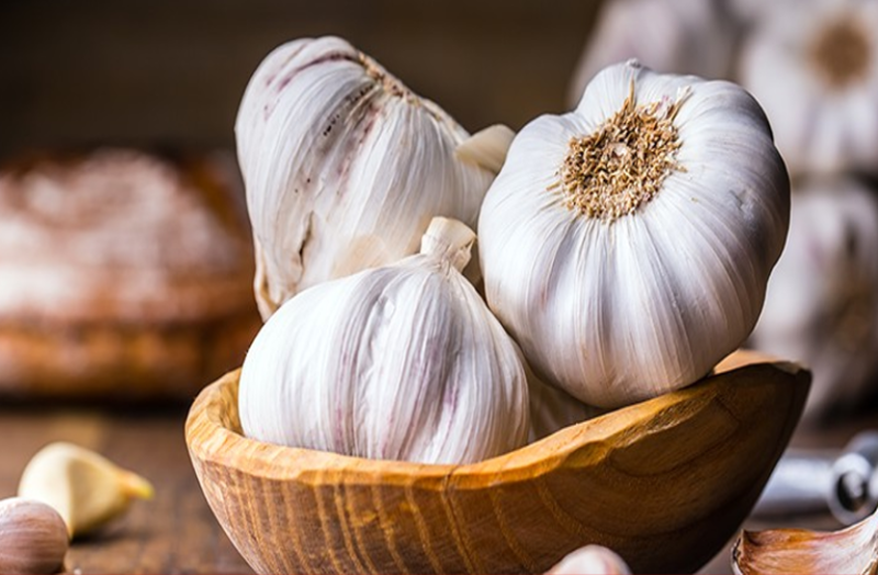 #coronavirus: बैक्टीरिया-वायरस व गले की खराश को खत्म करता है लहसुन, जानें इसके फायदे