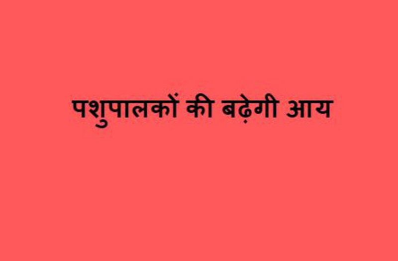 Cattle will increase income, 200 villages selected