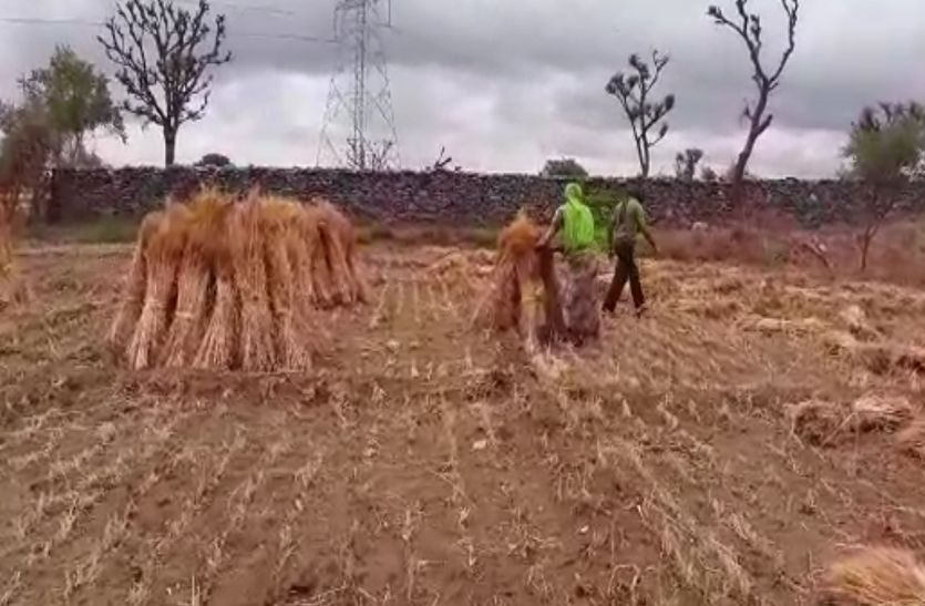 Video : बेमौसम बारिश से किसी फसल को हुआ लाभ तो किसी को झेलना पड़ा नुकसान