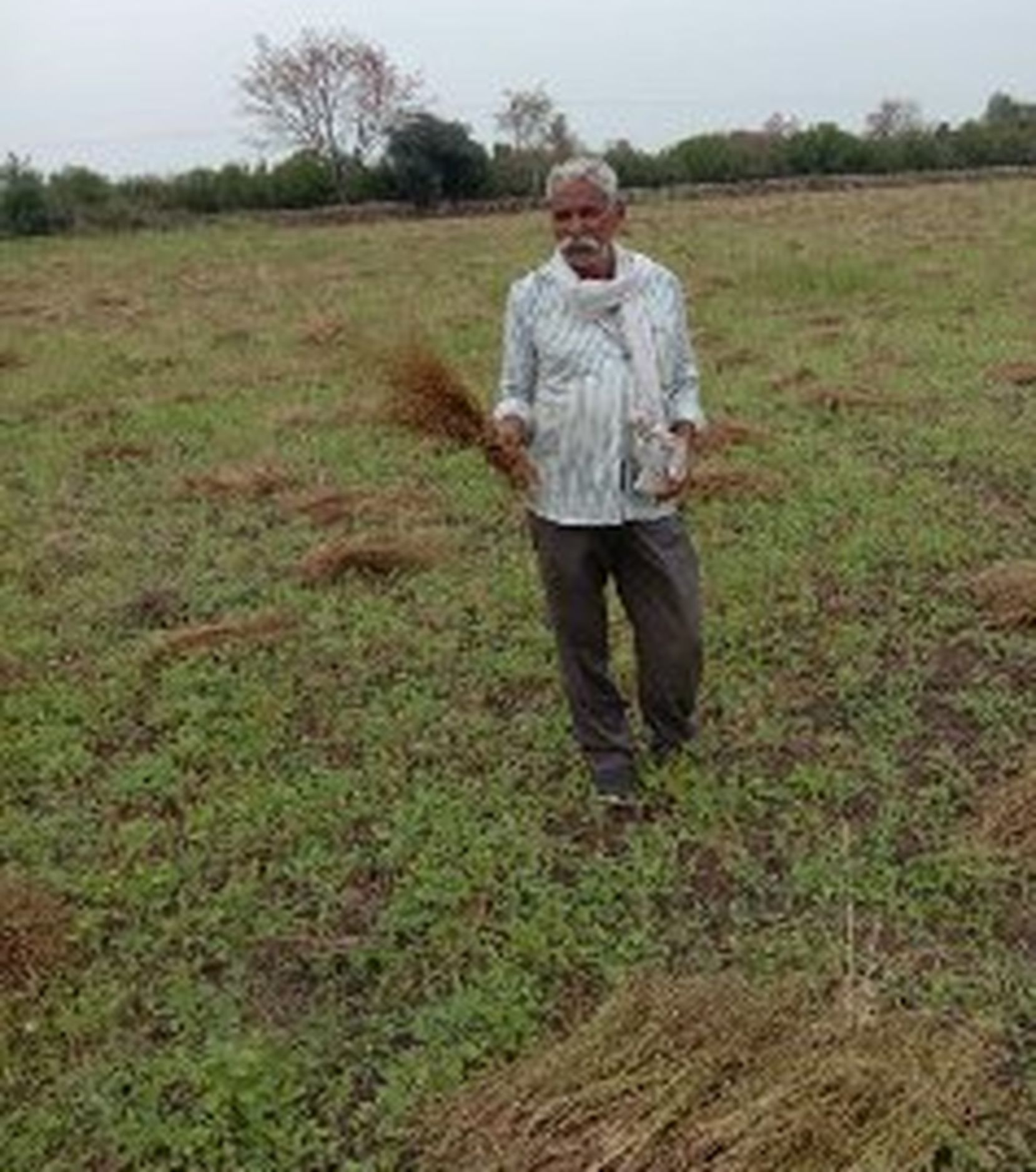 Aftershine rains: Heavy loss to farmers due to hail