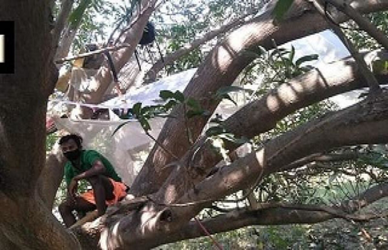 कोरोना के डर से गांव वालों ने लगाया 'नो एंट्री' का बोर्ड, खुद को पेड़ पर क्वारंटाइन के लिए मजबूर लोग