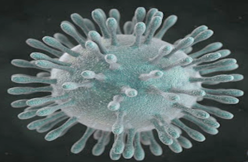 हरियाणा में बढ़े कोरोना संक्रमण के मामले, 6 मरीज हुए ठीक, देखिए जिलेवार सूची