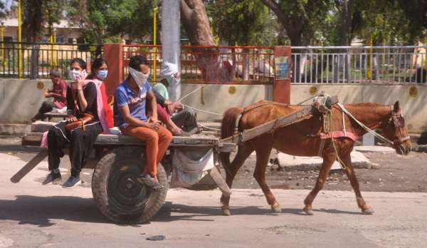 श्रीगंगानगर.कोरोना वायरस को लेकर चल रहा लॉक डाउन.......देखें खास तस्वीरें