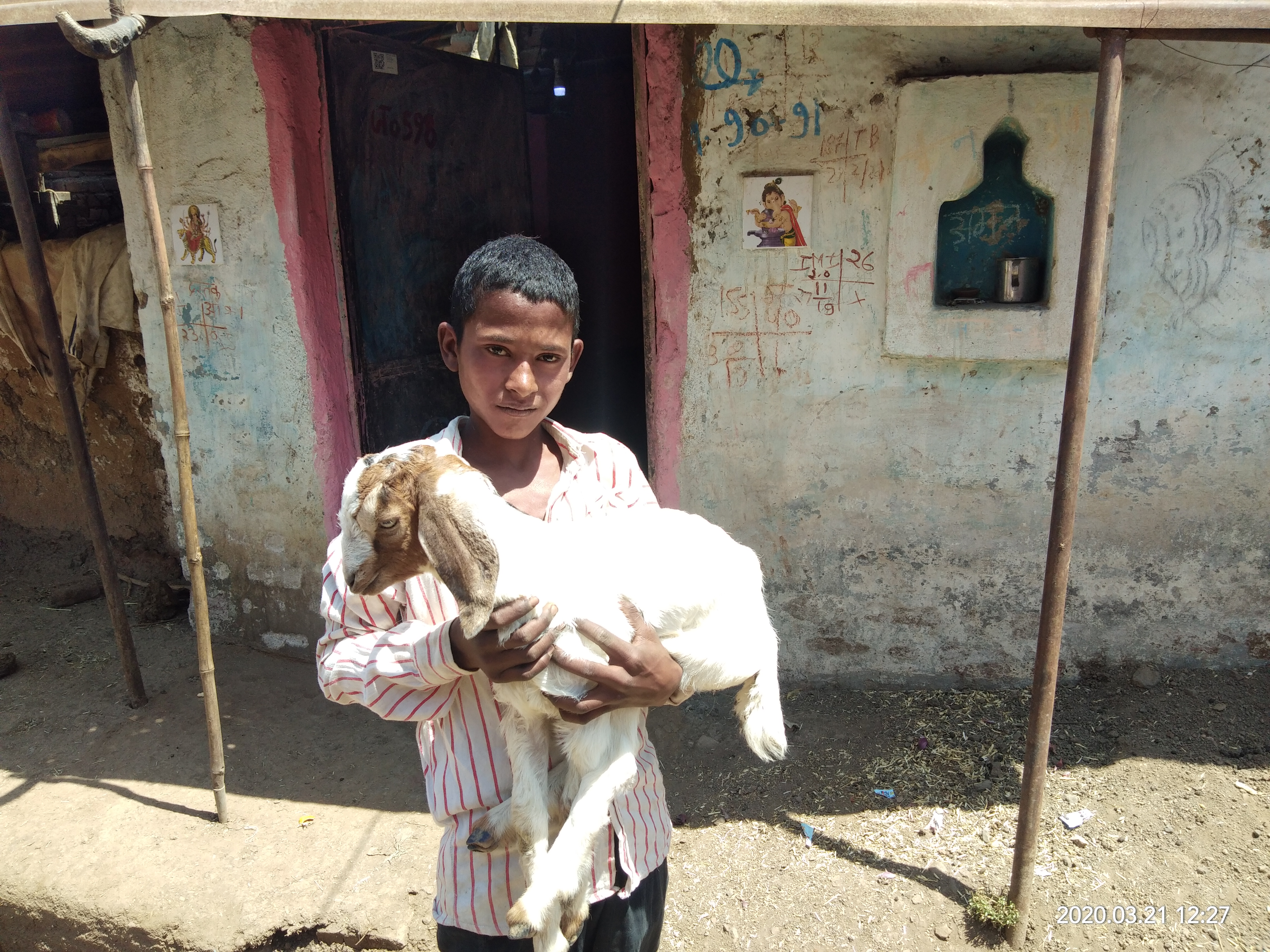 A boy jumped into a well to save a goat child