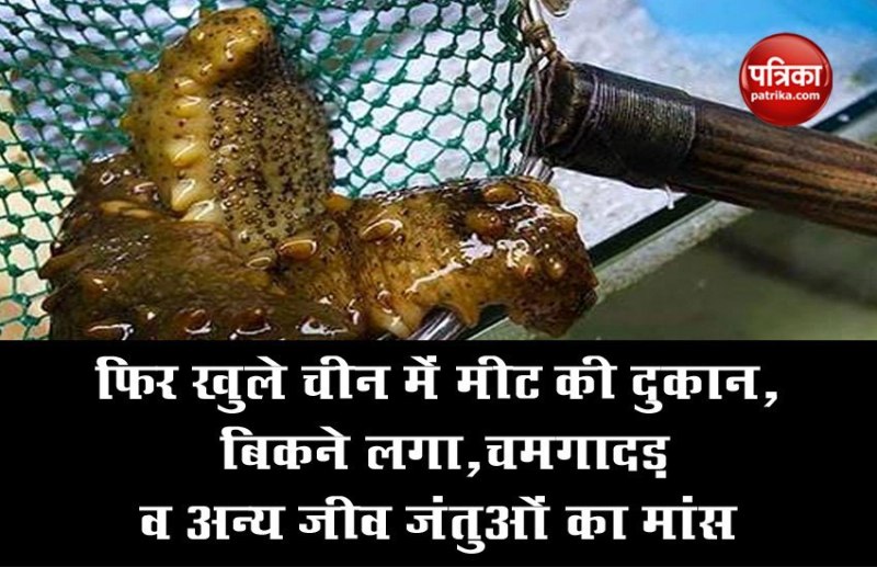 फिर खुले चीन में मीट की दुकान, बिकने लगा, चमगादड़ व अन्य जीव जंतुओं का मांस