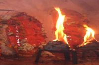 kishangrh_पांचवे दिन स्कंद माता स्वरूप की पूजा