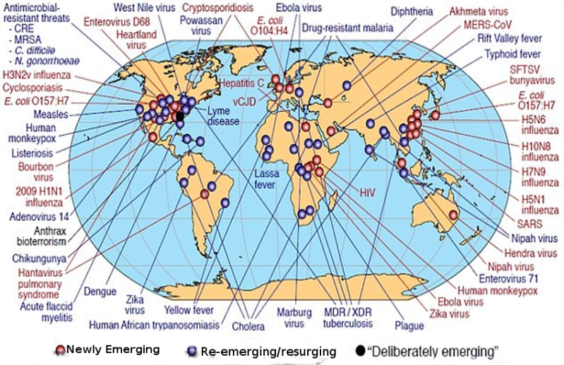 World at Risk, Flu like Covid-19 could kill 80 million in 36 Hours