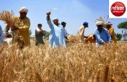 Farmer in punjab