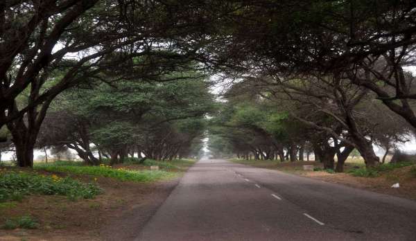 श्रीगंगानगर.कोरोना वायरस को लेकर चल रहा