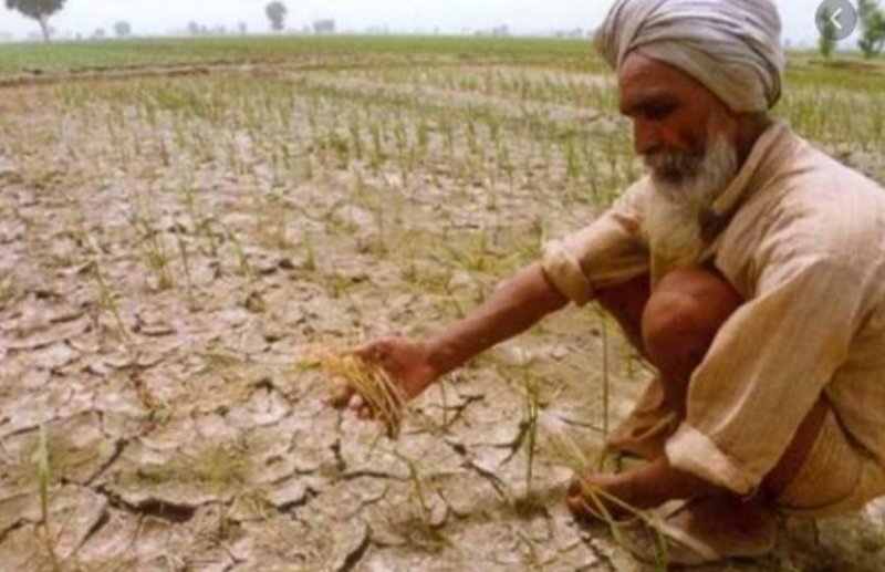 लॉकडाउन में किसानों की समस्याओं के समाधान के लिए हेल्पलाइन नम्बर जारी