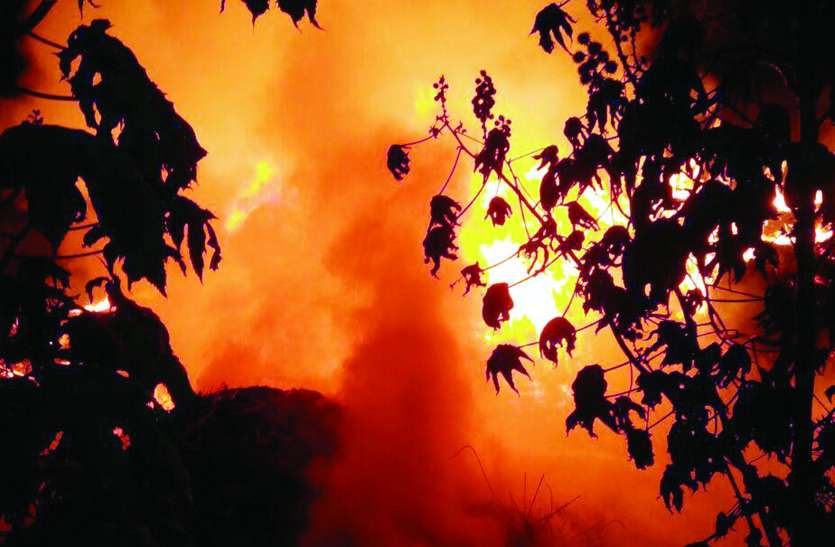 कोरोना लॉकडाउन: शरारती तत्वों ने जंगल में 2,000  स्थानों पर लगाई आग