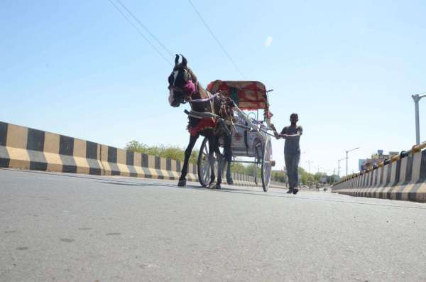 coronavirus : patrika photo gallery of lockdown in jodhpur
