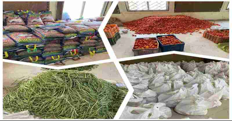 Youth Congress will help