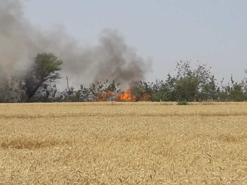 रैसलपुर में पैतीस एकड़ गेहूं की खड़ी फसल जली