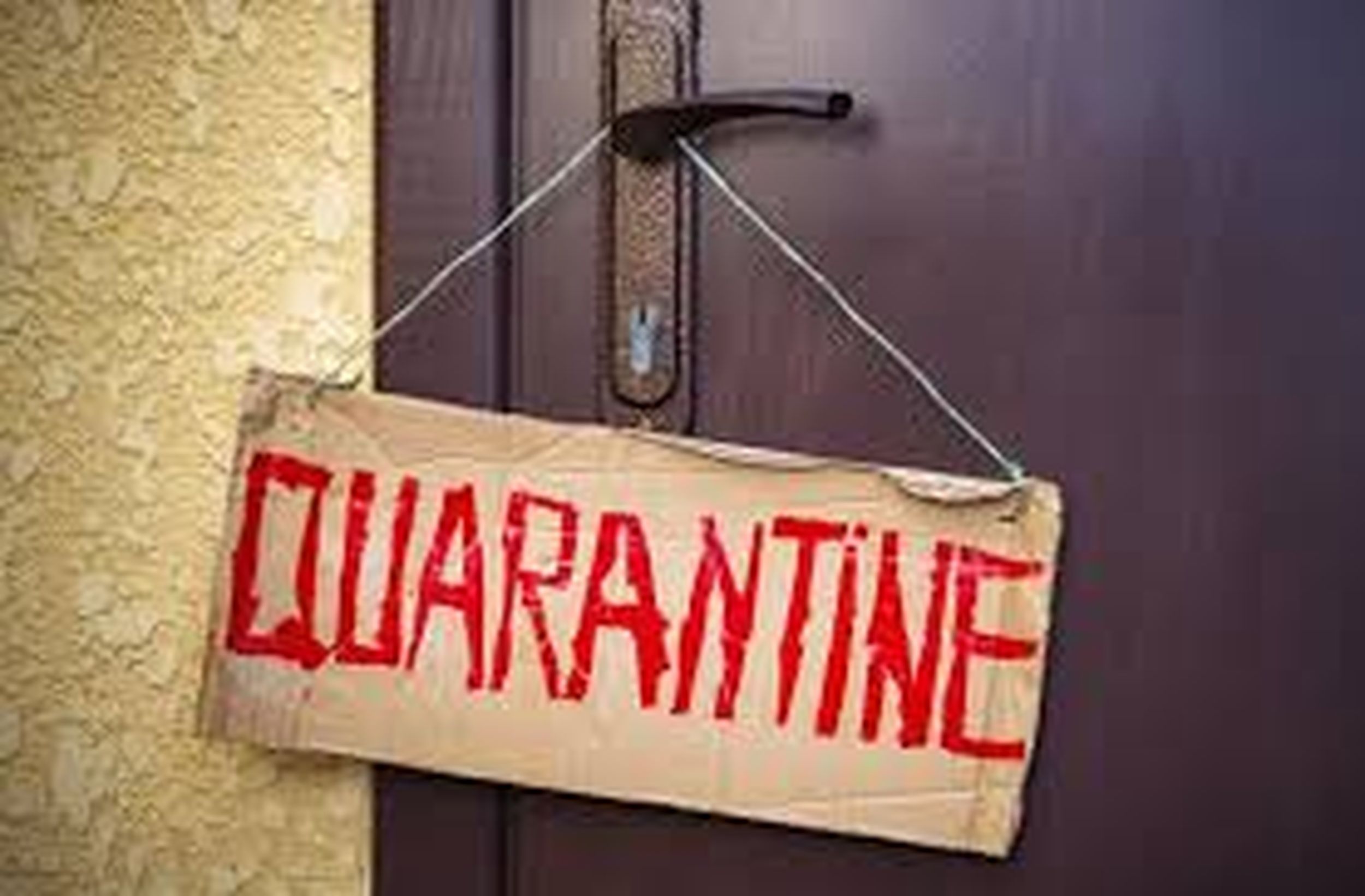 quarantine_1.jpg