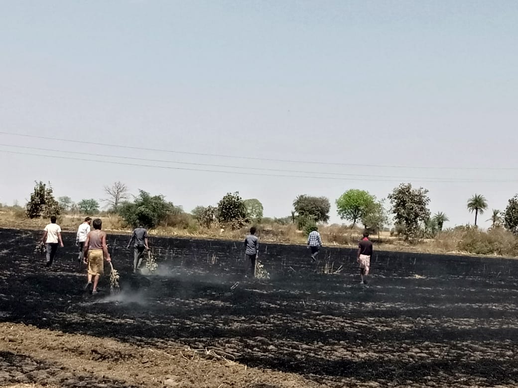 आग से 7 बीघा की फसल हुई खाक, जान जोखिम में डालकर ग्रामीणों ने बुझाया