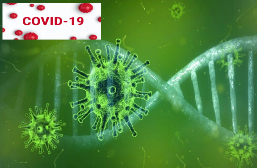 Coronavirus: जानवरों में बहुत साल पहले दिख चुका था कोरोना वायरस