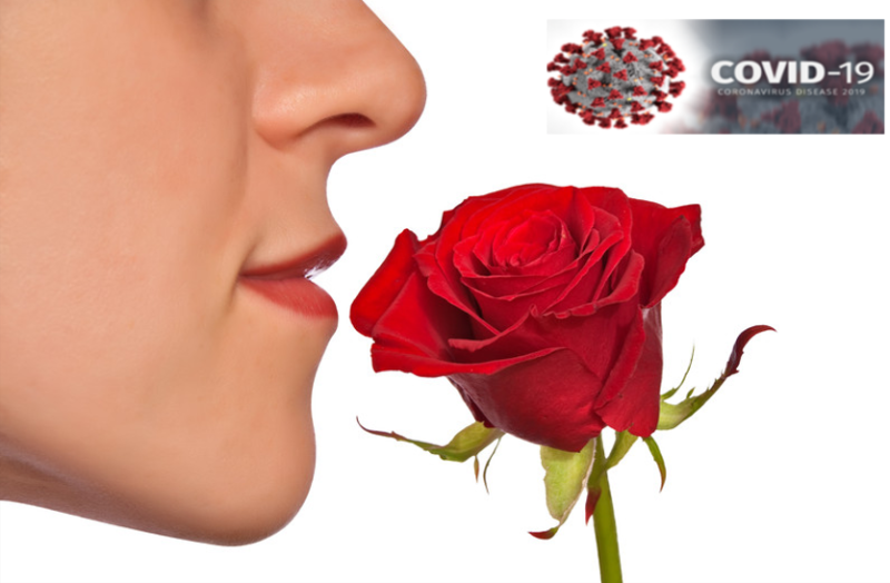 कोरोना वायरस संक्रमण में सूंघने की क्षमता कमजोर होना प्रारंभिक लक्षण