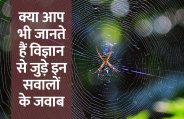 Education, interview, exam, online test, rojgar samachar, interview tips, online exam, Mock Test, general knowledge, GK, interview questions, jobs in hindi, rojgar, competition exam, mock test paper, sarkari job, questions Answers, GK mock test, General Science Questions, Questions and answers, common general knowledge questions and answers, common general knowledge questions and answers