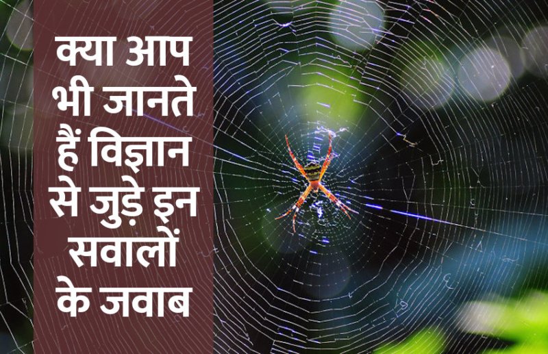 Education, interview, exam, online test, rojgar samachar, interview tips, online exam, Mock Test, general knowledge, GK, interview questions, jobs in hindi, rojgar, competition exam, mock test paper, sarkari job, questions Answers, GK mock test, General Science Questions, Questions and answers, common general knowledge questions and answers, common general knowledge questions and answers