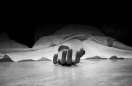 BMHRC Lady Doctor Commits Suicide In Bhopal