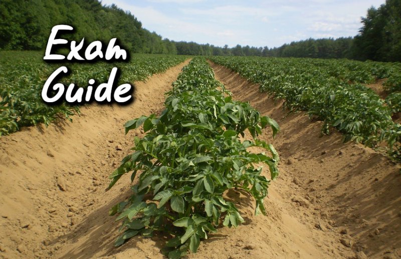 Education, interview, exam, online test, rojgar samachar, interview tips, online exam, Mock Test, general knowledge, GK, interview questions, jobs in hindi, rojgar, competition exam, mock test paper, sarkari job, questions Answers, GK mock test, Exam Guide, General Science Questions, Questions and answers, common general knowledge questions and answers, common general knowledge questions and answers