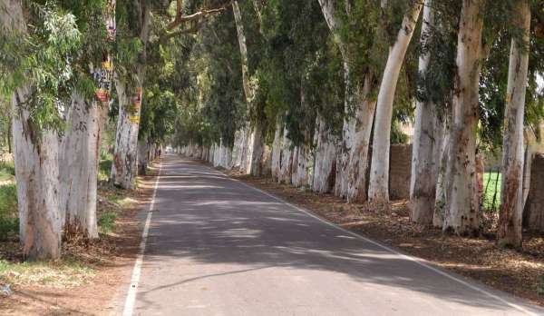 श्रीगंगानगर....लॉक डाउन .....देखें खास तस्वीरें