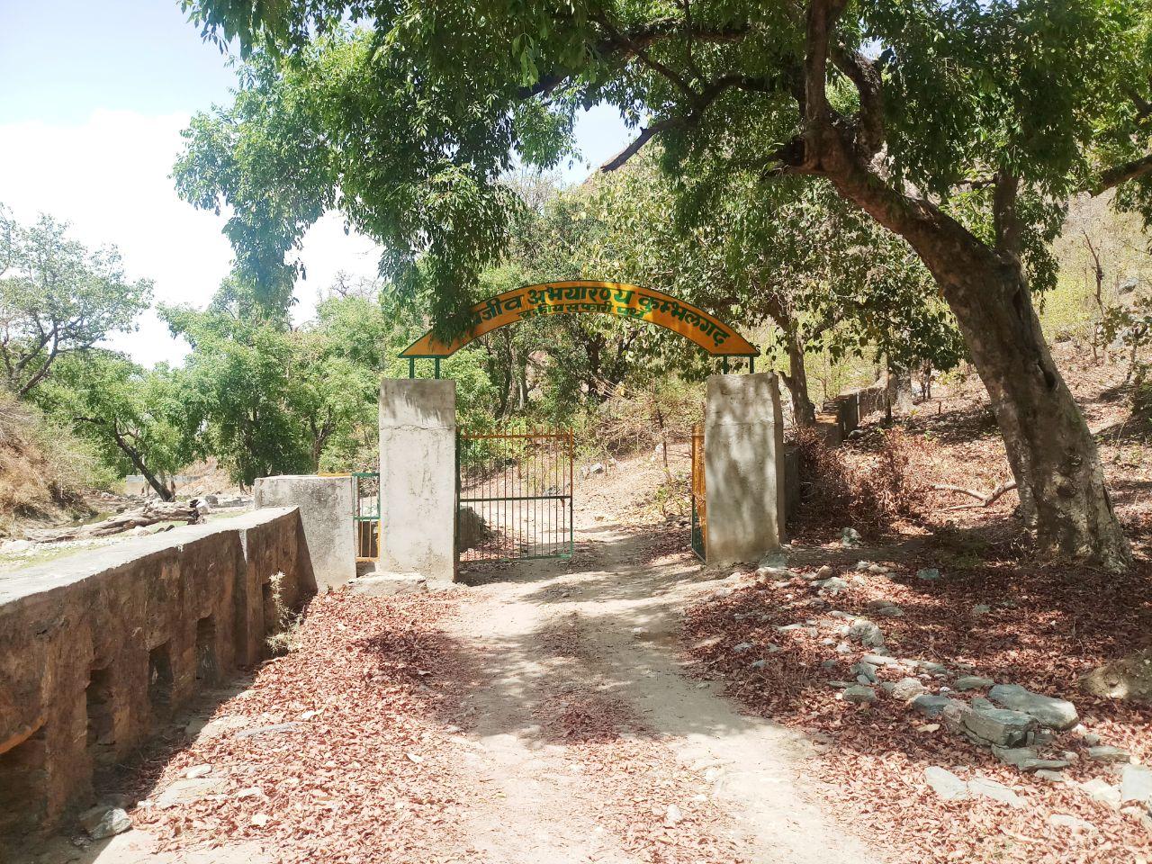 कुंभलगढ़ नेशनल पार्क में वन्यजीव को कोरोना संक्रमण का खतरा नहीं