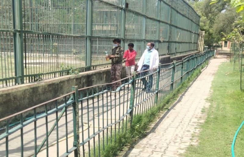 चिडि़याघर में फिर दवा का छिड़काव ,वन्यजीव सुरक्षित