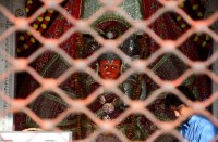 Hanuman Jayanti 2020: जानें, लॉकडाउन में कैसे करें संकट मोचन हनुमान का गुणगान, देखें वीडियो