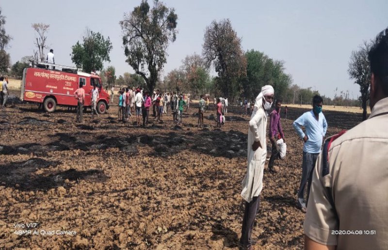 15-acre crop burnt to ashes