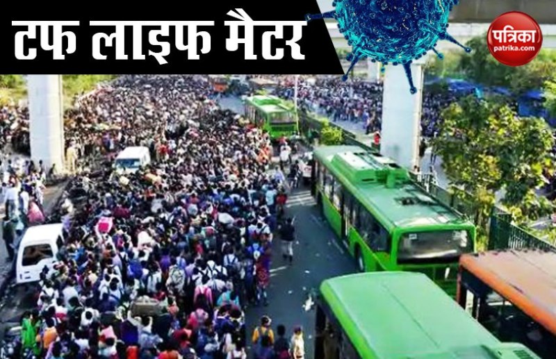 immunity power strong corona