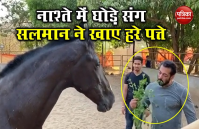 घोड़े संग नाश्ता करते नज़र आए सलमान खान