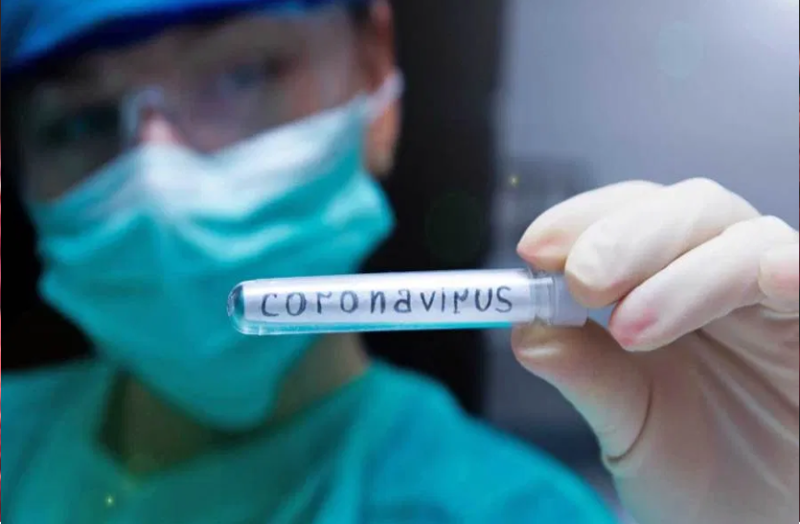 क्या बीते सालों में सामने आईं वायरस जनित महामारियां-प्रकोप फिर से सामने आ सकते हैं?