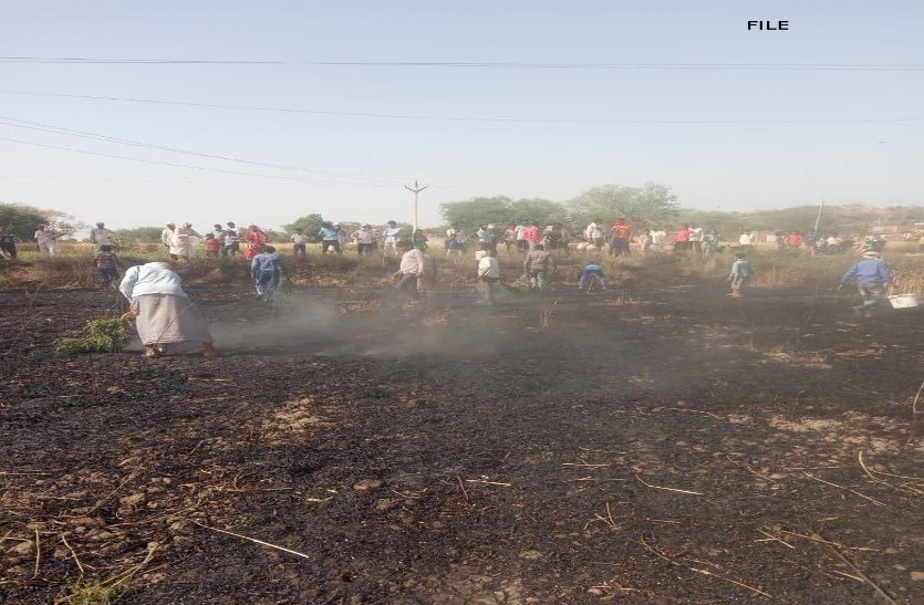 fire in crop in dabra city