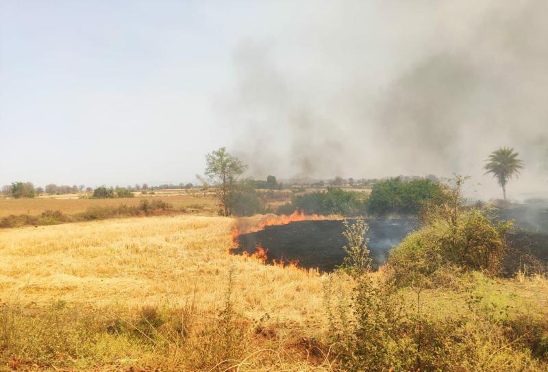 राजा भैया, रामकृष्ण, मलखान समेत चार पर केस, आधा दर्जन गांव के किसान हुए बर्बाद