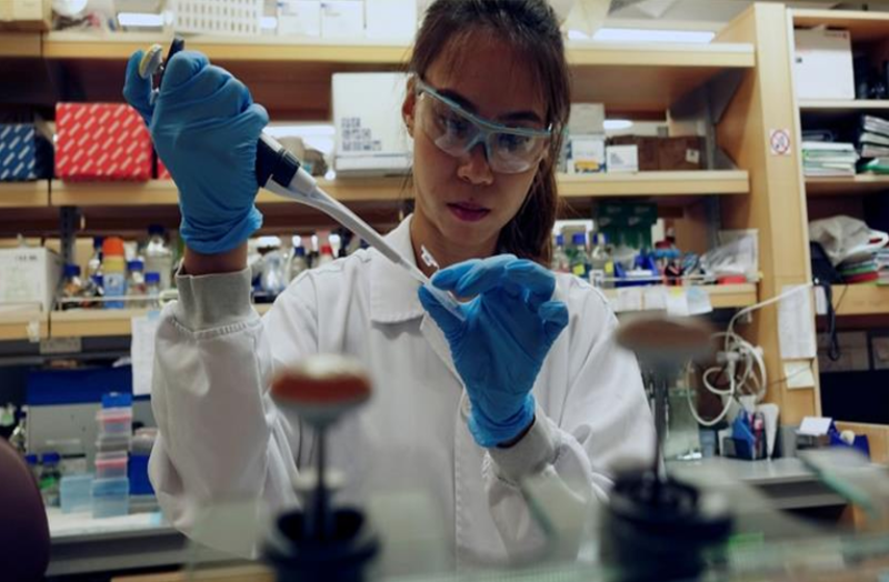 दुुनिया के कई संस्थान कोरोना वायरस के लिए टीका बनाने में जुटे