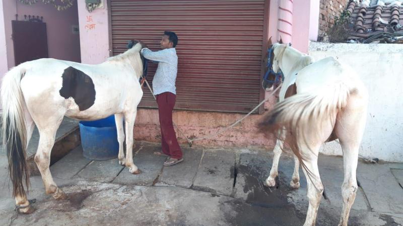 Can not find wedding booking