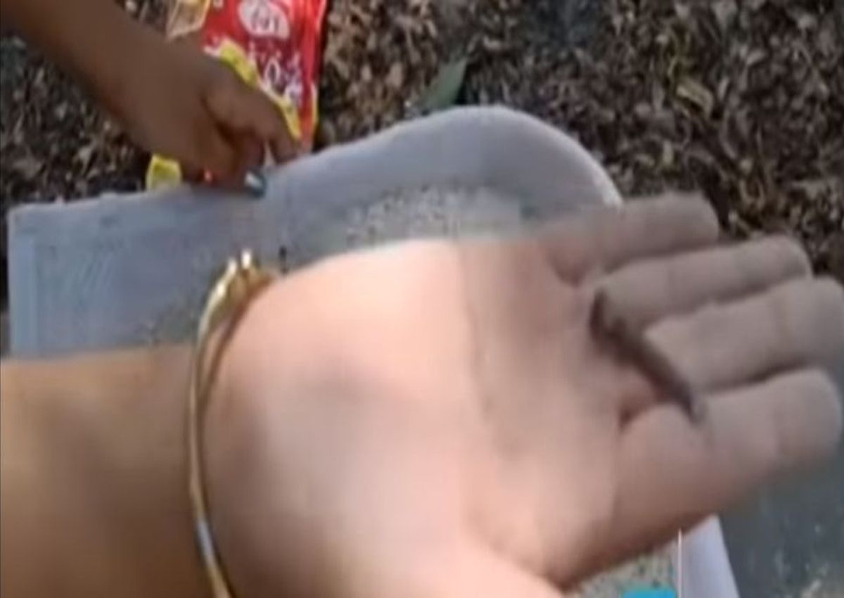 हे राम...गुजरात में राशनकार्ड पर कंकड़-पत्थर वाला अनाज