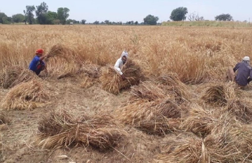 Most farmers are worried about the lockdown in UP