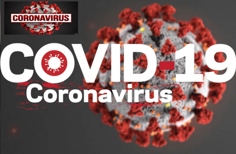 Covid-19: 'मनुष्य में कोविड-19 बनाने की क्षमता नहीं होती'