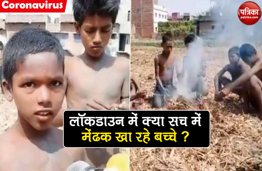 fact check children in Jehanabad eating frogs no food at home viral