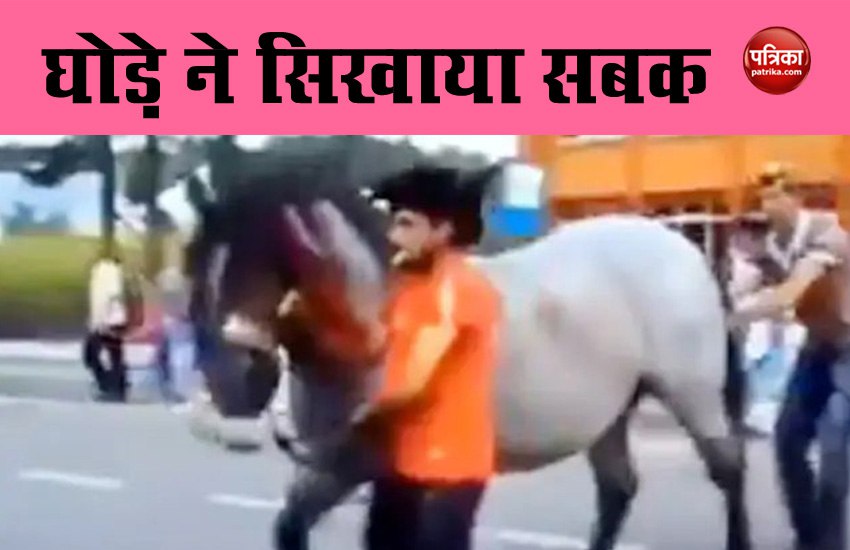 Horse Viral Video