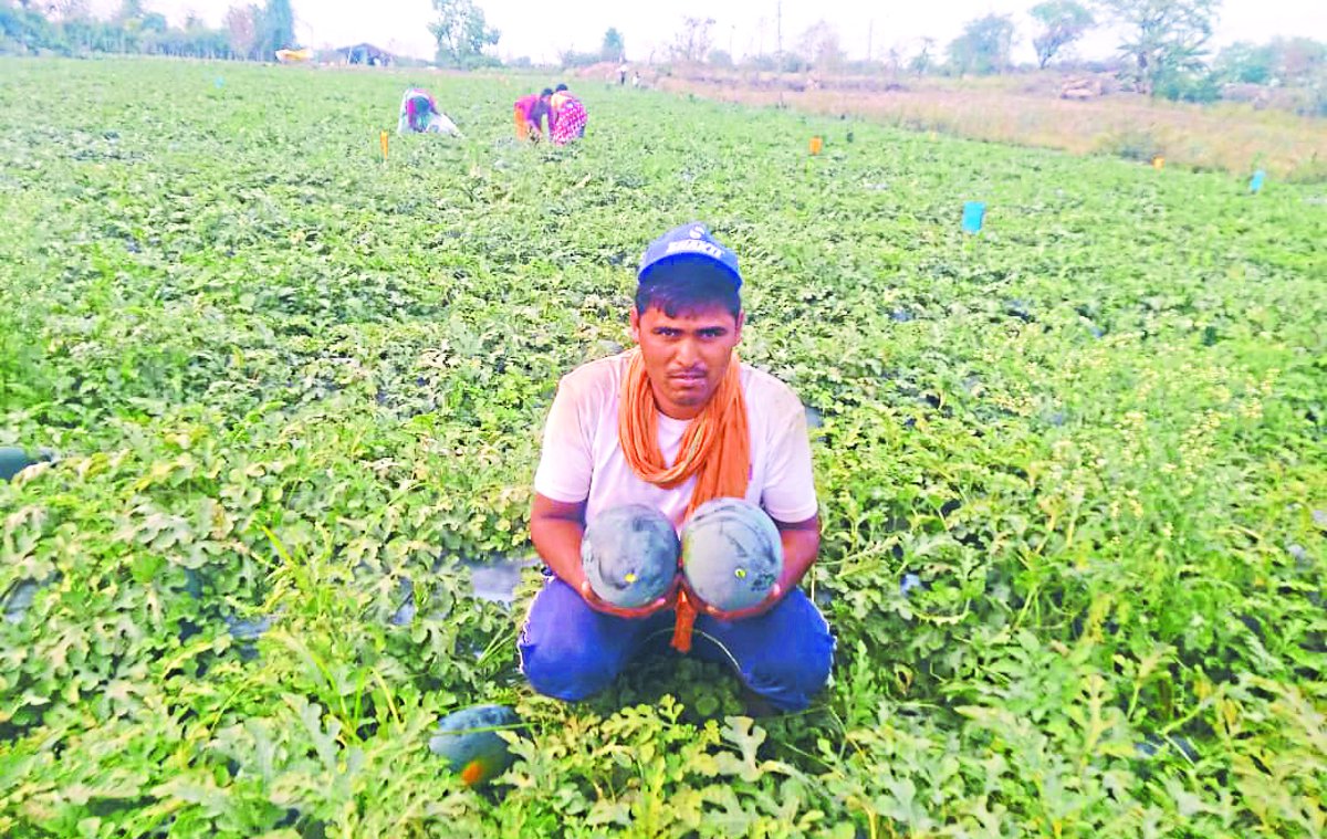 lockdown-production-is-full-why-farmers-are-facing-economic-crisis
