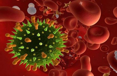 Coronavirus Cases Rajasthan, New Corona positive cases