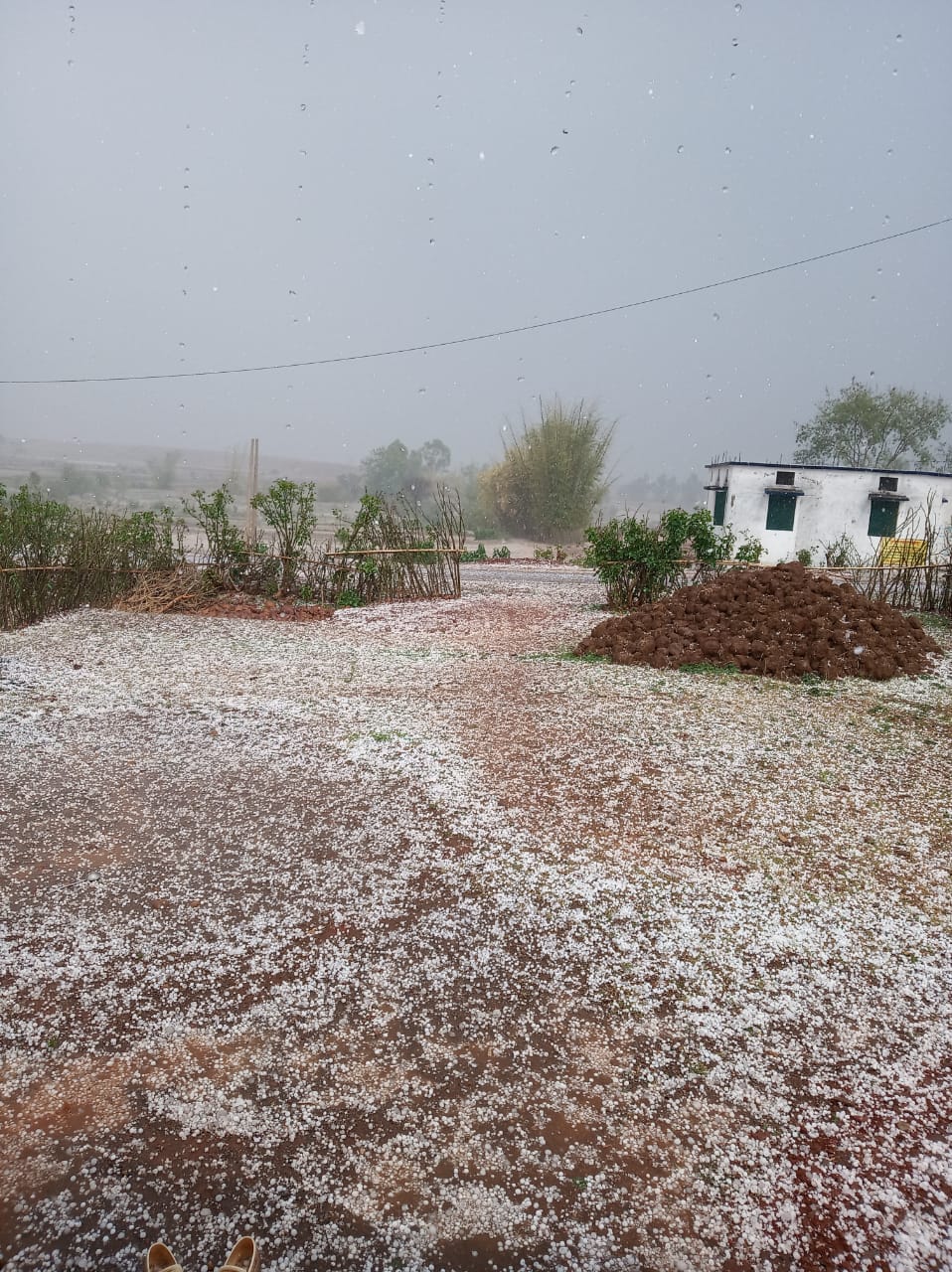 Rain and hail in more than two dozen villages, damage to wheat crop