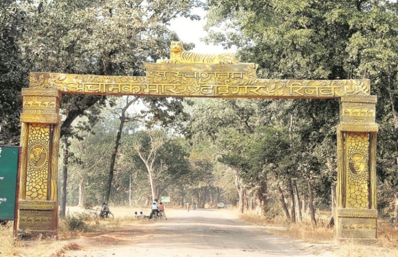 टाइगर रिजर्व अचानकमार के 19 गांवों को तीन महीने में कराया जाएगा खाली, वनमंत्री ने विभागीय अधिकारियों की बैठक ली